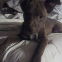 Profile Picture of Keith Dunbar Jr (@keith-dunbar-jr-1) on Quora