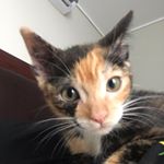 Profile Picture of María Elsa Trinidad (@triny_fromtheblock) on Instagram