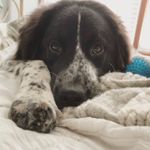 Douglas Fillmore Swarts - Instagram Profile Picture of Douglas Fillmore Swarts (@dougie_swarts) on Instagram