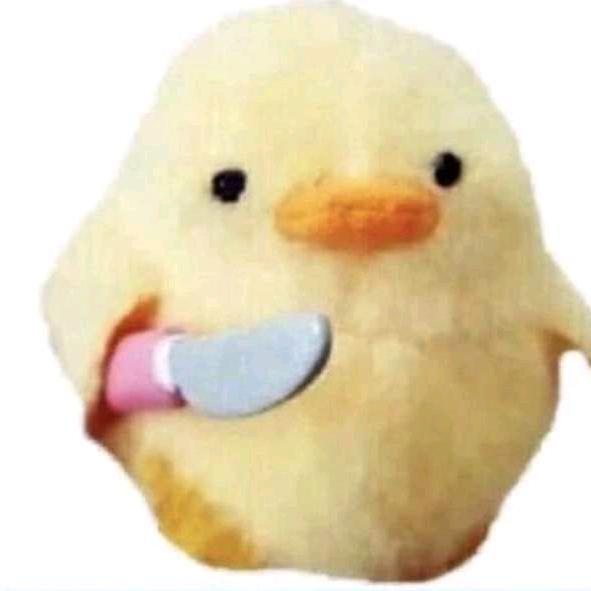 Profile Picture of Hannah (@bandaid_slinger) on Tiktok