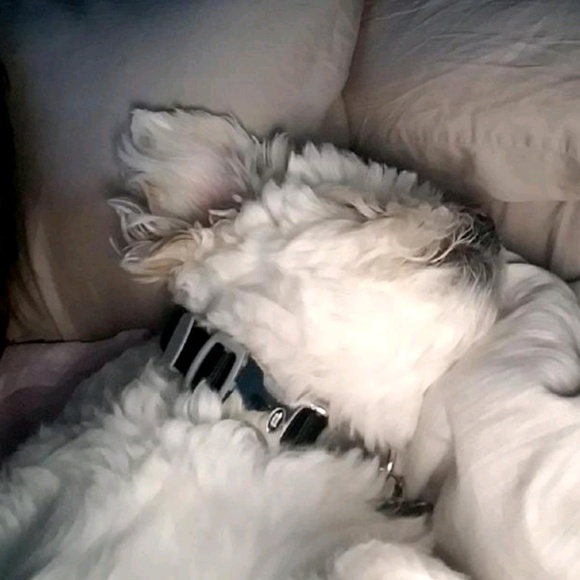 Profile Picture of Joseph Hanson (@jtd_squad) on Poshmark