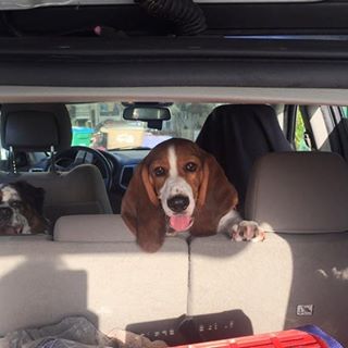 Profile Picture of Thomas Carpentieri (@thomas.carpentieri.5) on Facebook