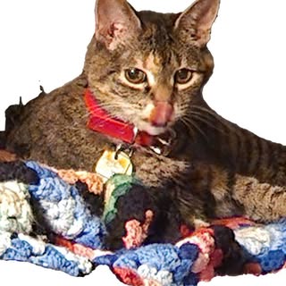 Profile Picture of Lori Oman (@lori_oman) on Instagram