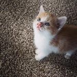 Sandra Waddle - Instagram Profile Picture of Sandra Waddle (@marley62014) on Instagram