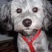 Profile Picture of Stacy TerryHolbrook (@stacy.holbrook.10) on Facebook