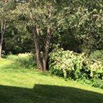 Profile Picture of Alexys Scott (@alexysdawnscott8987) on Instagram