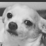 Profile Picture of lisowy (@lisowy1w3) on Instagram