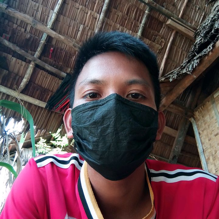 Profile Picture of Mark Mingo (@markmingo5) on Tiktok