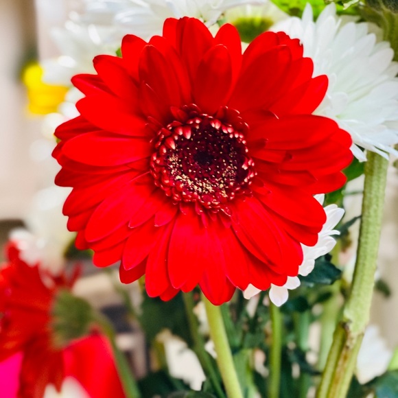 Profile Picture of T Hernandez (@th92) on Poshmark