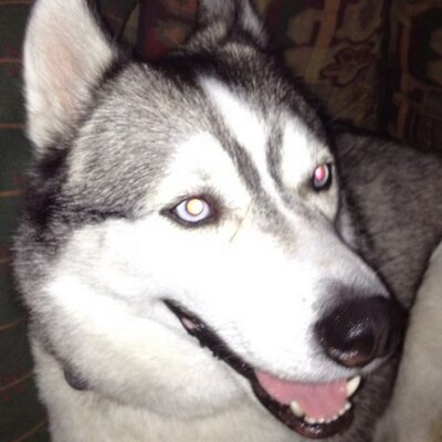 Profile Picture of John (@Tangle72) on Twitter