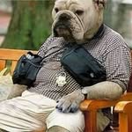 Profile Picture of Ken Leidy (@kenleidy) on Instagram