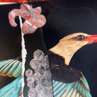 Profile Picture of Joseph Ramsay (@jwramsay20) on Instagram