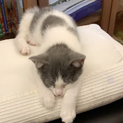 Profile Picture of Mike Lei (@furrynna) on Youtube