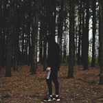 Profile Picture of Alex Steckman (@alex_steckman) on Instagram