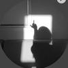 Profile Picture of Dani (@@danielle.charron) on Tiktok