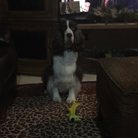 Profile Picture of Tammy Mitchko (@tmitchko) on Poshmark