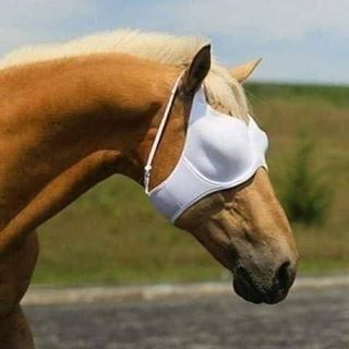 Profile Picture of Damian Julia (@Damian-Julia) on Facebook