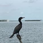 Profile Picture of Craig Reelman (@craigreelman) on Instagram