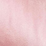 Profile Picture of Audrey Serrano (@floweraudrey_2009) on Instagram