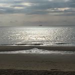 Sarah Steptoe - Instagram Profile Picture of Sarah Steptoe (@stepperscandoit) on Instagram