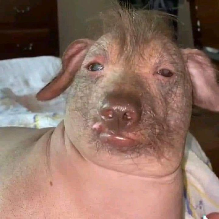 Profile Picture of Hux (@daniel_hux) on Tiktok