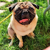 Profile Picture of Claudia Kern (@claudiakern3347) on Youtube