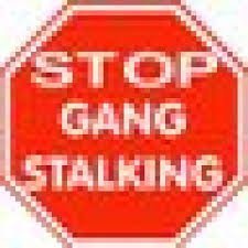 Profile Picture of Stalker Hunter/Former LEO, Whistle Blower, (@ChipThick) on Twitter