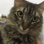 Profile Picture of Jack Lafayette (@falayette_jack) on Instagram