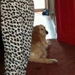 Profile Picture of Debbie Mcnab (@debbiemcnab) on Instagram