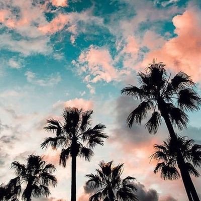 Profile Picture of Tori Shockley (@ToriShockley1) on Twitter