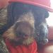 Profile Picture of Daniel Himmelsbach (@danielhimmelsbach) on Pinterest