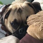 Profile Picture of Ian Leach (@ianleachi) on Instagram