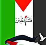 Profile Picture of Naseeb Hulla (@Naseeb-Hulla) on Facebook