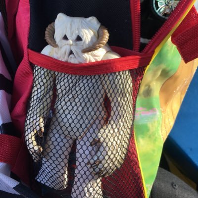Profile Picture of Joe Mitacek (@JoeMitacek) on Twitter