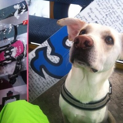Profile Picture of Erik Scheu-Lo (@LoScheu) on Twitter
