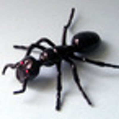 Profile Picture of Anthony Stamper (@antstamper) on Twitter