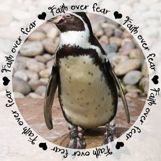 Profile Picture of Paula Roberson (@paula.roberson.169) on Facebook
