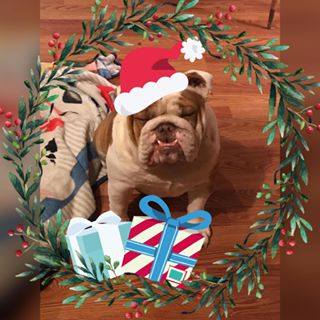 Profile Picture of Annie Sammons (@annie.sammons15) on Facebook