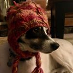 Profile Picture of Jeremy Fleming (@nikaspapa) on Instagram