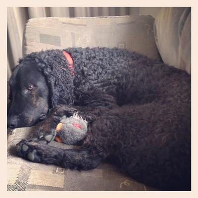 Profile Picture of Charles Oconnor (@reasonablega65) on Twitter