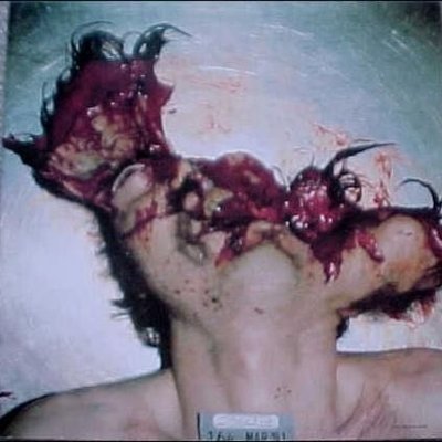 Profile Picture of Rusty Ice Pick (@GlitchWiley) on Twitter
