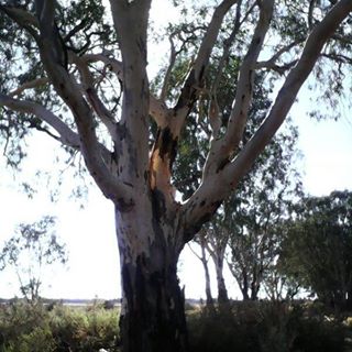 Doris Fleihs - Facebook Profile Picture of Doris Fleihs (@doris.fleihs) on Facebook