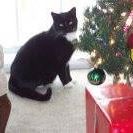 Phyllis Arbogast - Facebook Profile Picture of Phyllis Arbogast (@phyllis.arbogast.1) on Facebook