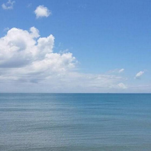 Profile Picture of Erika Callahan (@encallahan23) on Poshmark