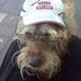 Profile Picture of Pete Bowe (@pete.bowe.5) on Facebook
