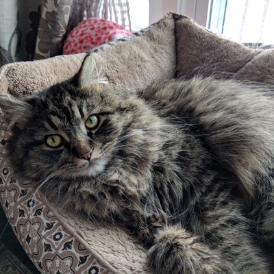 Profile Picture of Jennifer Mewhiney (@JenniferMewhin1) on Twitter