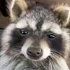Profile Picture of Tyler morgan (@@tyler_moregan6) on Tiktok