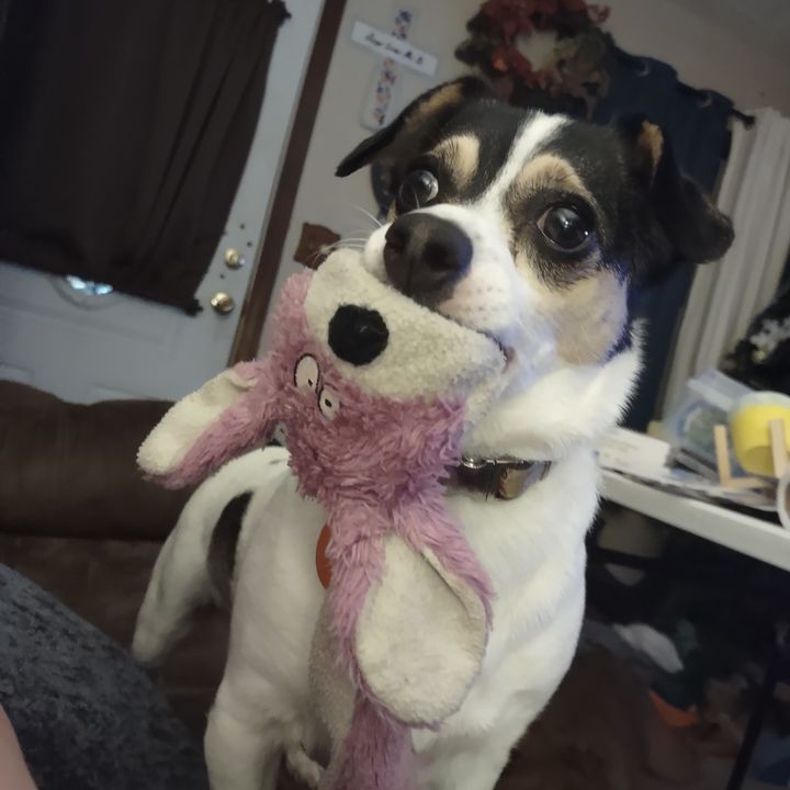 Profile Picture of kevin Burleson (@spaceship0147) on Tiktok