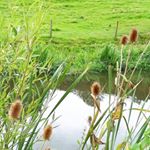 Profile Picture of David Snowdon (@davidjohnsnowdon) on Instagram