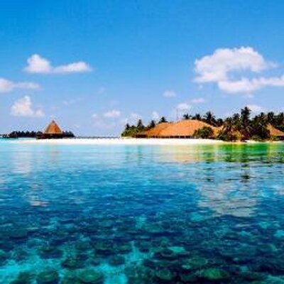 Profile Picture of Christopher Shier (@chris_shier) on Twitter